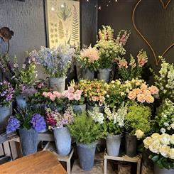 FLORIST CHOICE HAND TIED BOUQUET  Peak Time